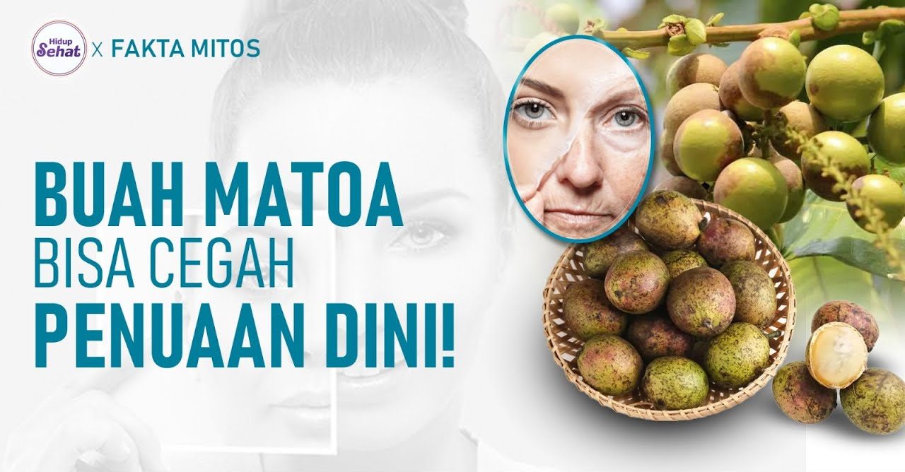 Manfaat Buah Matoa Bisa Membuat Kulit Anda Tampak Awet Muda
