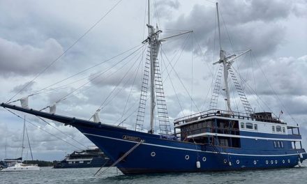 Maut Perairan Komodo: Pelatih Valencia Jadi Korban