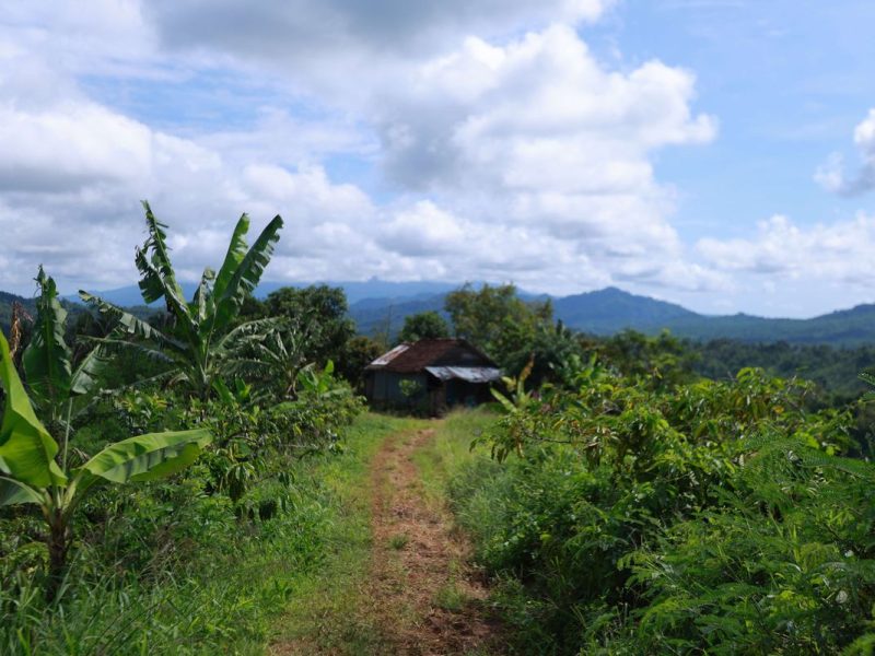 Tinggal Di Lahan BUMN: Benarkah Warga Kini Sejahtera?