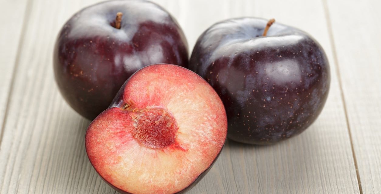 Buah Plum, Manis, Segar Dan Kaya Manfaat untuk Kesehatan
