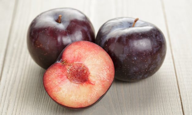 Buah Plum, Manis, Segar Dan Kaya Manfaat untuk Kesehatan