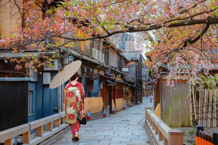 Kota Kyoto, Terdapat Beberapa Taman Indah Dan Menakjubkan