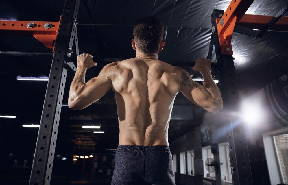 Kelebihan Pull Up Yang Bisa Membangun Otot Optimal