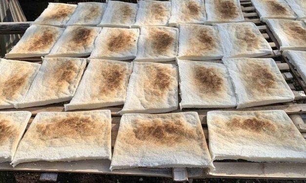 Sagu Lempeng Ternate, Makanan Legendaris Dari Timur