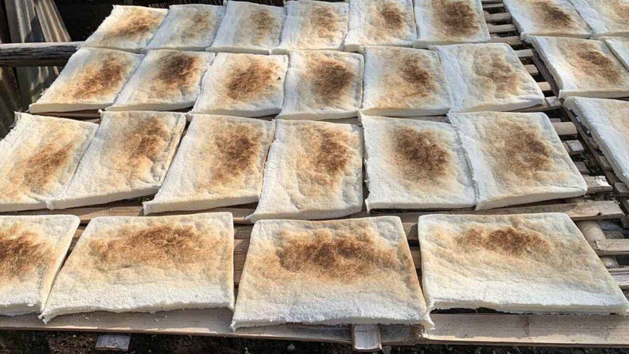 Sagu Lempeng