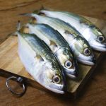Manfaat Ikan Kembung Sebagai Sumber Protein Untuk Anak