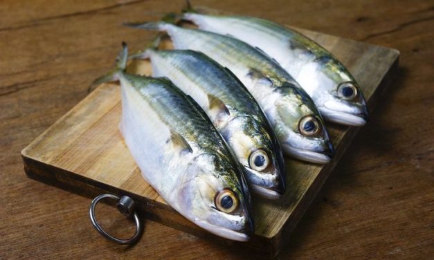 Manfaat Ikan Kembung Sebagai Sumber Protein Untuk Anak