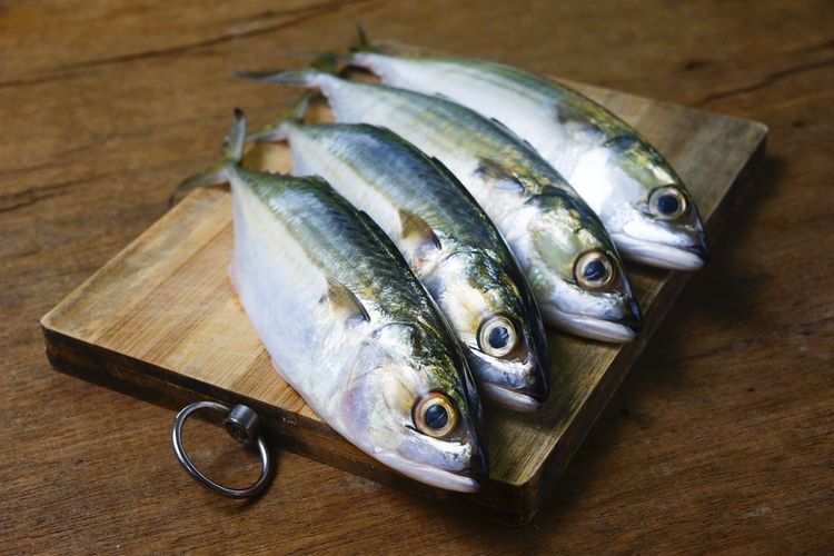 Manfaat Ikan Kembung Sebagai Sumber Protein Untuk Anak